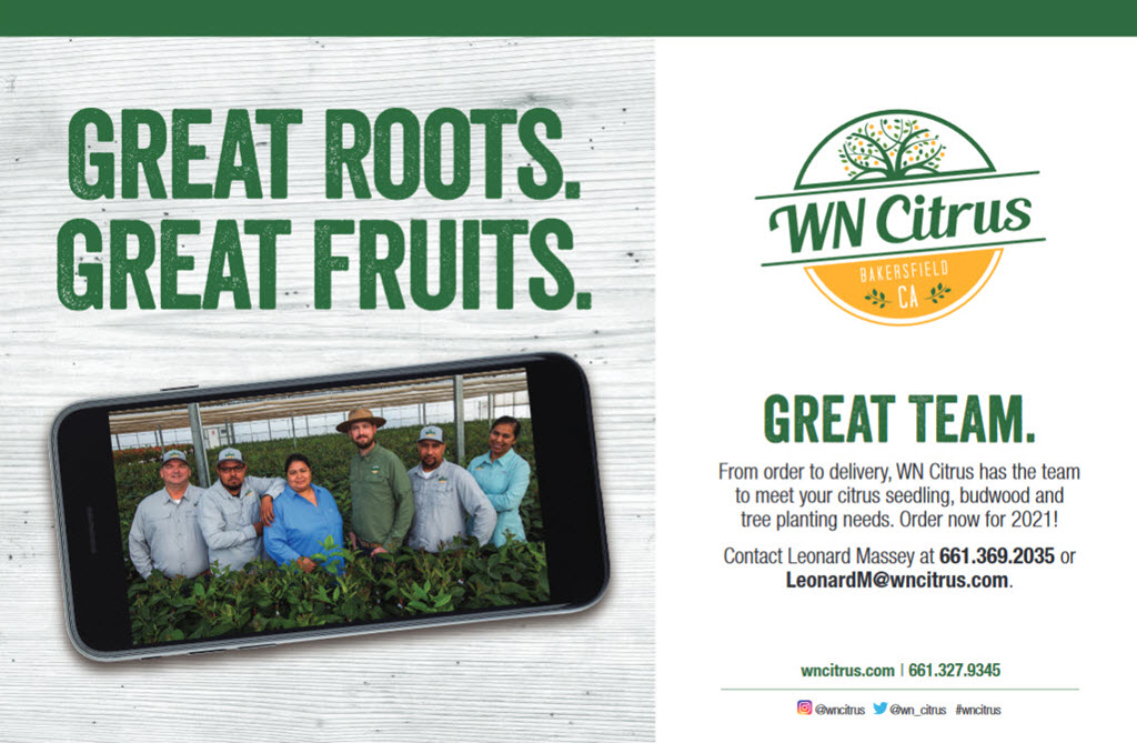 Join us at Citrus Showcase! WN Citrus